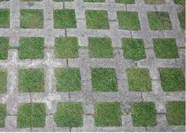 Home Depot Grass Block Permeable Pavers Tileco Inc 11 5 In X 17 25 In X 3 5 In Concrete Grass Block Paver Permeable Pavers Grass Pavers Grass Driveway