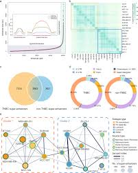 Personally i don't think any of the 12 different zodiac signs are ignored and i believe each one receives equivalent attention. Defining Super Enhancer Landscape In Triple Negative Breast Cancer By Multiomic Profiling Nature Communications