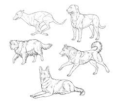 Pin By Jones Silva On Volki Sobaki Lisy In 2020 Animal Drawings Cat And Dog Drawing Dog Drawing