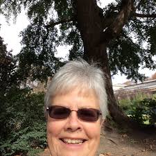 Native perennials for front yard planting now?