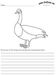 This canada goose coloring page features a picture of a canada goose to color. Coloring Worksheet