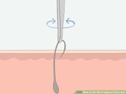 Pin On Hair Beauty That I Love