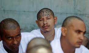 Donovan said, adding that another 8,000 to 10,000 members are spread throughout the united states and europe. Trump Blames Obama For Ms 13 S Growth But The Gang S Roots Are Older