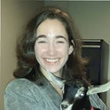 PetMedic Hospitals Management Team