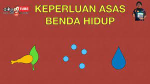 Keperluan asas benda hidup otros contenidos Sains Tahun 1 Keperluan Asas Benda Hidup Cikgootube Cikguzoul Youtube