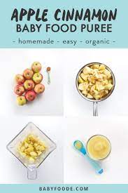 7 Organic Baby Food Recipes For 20 Complete Guide Baby Foode Baby Food Recipes Easy Homemade Baby Food Apple Baby Food