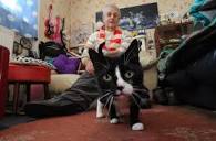 Profile Picture of Alan Nott - Facebookon Google