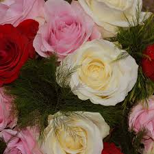 Download high quality flower pictures for your mobile, desktop or website. Flowers Images For Whatsapp Dp In 2021 Beautiful Flowers Images Flowers Yellow Rose Flower