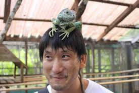 ロリコン淫夢はそもそもがパラドクス 電気アンマしてくる女子に似てる 草 このbgm タグのlainの意味やっと分かったゾ よくやった かわいい この歌. å¾Œè¼©ã¨ã‚¤ã‚°ã‚¢ãƒŠã¨æµ· éŠã³ã«è¡Œã£ã¦ããŸè©±