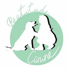Béatitude canine
