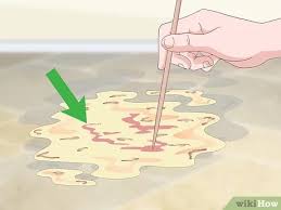When a cat vomits pink liquid, the most probable explanation for the color is that there is blood present in the fluid. How To Help A Vomiting Cat 14 Steps With Pictures Wikihow