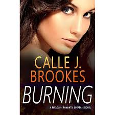 Gathering (PAVAD- FBI Romantic Suspense Book 14)