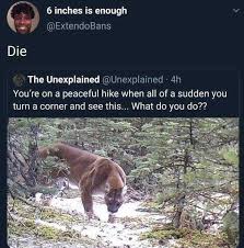 We did not find results for: Dopl3r Com Memes 6 Inches Is Enough Extendobans Die The Unexplained Unexplained 4h Youre On A Peaceful Hike When All Of A Sudden You Turn A Corner And See This What