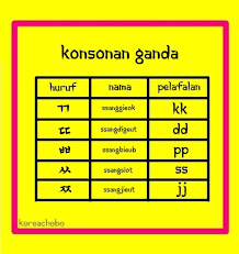 Sebagian orang merasa bahwa mempelajari bahasa korea cukup dengan mempelajari romanisasi saja. Huruf Abjad Korea