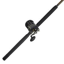 We did not find results for: Offshore Rod Reel Combo Spinning Combos Penn Fishing