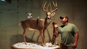 Any help would be greatly appreciated. 192 Legend Uno Full Body Deer Mount Youtube