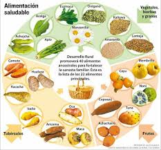 Alimentacion Sana Y Saludable Para Ninos Y Adultos Diet Blog