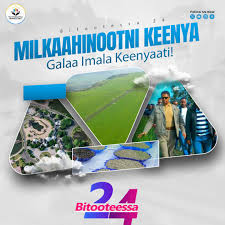 Mubarek Kemal Kedir Sheka