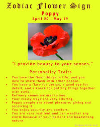 Divine Spark Zodiac Flower Sign Poppy April 20 May 19 Taurus Virgo Constellation Tattoo Pisces Constellation Tattoo Constellation Tattoos