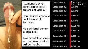 File:Male ejaculation with contraction timestamps.webm - Wikimedia Commons