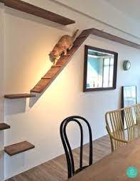 10 Quirky Crazy Cool Homes In Singapore Cat Climbing Wall Cat House Diy Cat Walkway