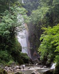 水源も趣きも異なる三つの滝が一か所に合流していることが特徴の 三本滝 写真は 正面 中央 の滝で 小大野川の本流をまっすぐ豪快に流れ落ちます 風景 景色 お散歩 お写んぽ 旅行 滝 三本滝 乗鞍高原 松本市 長野県 picture t waterfall