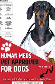 Acceptable Household Medications For Pets Chart From My Veterinarian In 2020 Medication For Dogs Medicine Safe For Dogs Meds For Dogs
