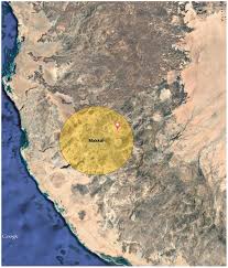 Image result for Maerua andradae