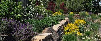 Quim marin art direction & design barcelona — in such a visually polluted environment i try to come up with fresh and memorable designs with a clear aim at essential beauty and equilibrium that, at the same time, will ensure. Sonoma County Landscaping Companies Gardenworks