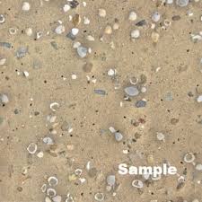 Browse 297 sand texture seamless stock photos and images available, or start a new search to explore more stock photos and images. Second Life Marketplace Beach Sand With Shells Texture Seamless Cm