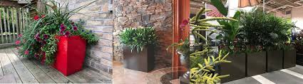 Place a lush plant inside and it's a statement piece! About Us Custom Planters Large Outdoor Planters Calgary