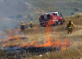 In a minute, i'll tell you about an even better one. Does Heavy Rain Actually Fuel Wildfires Redzone