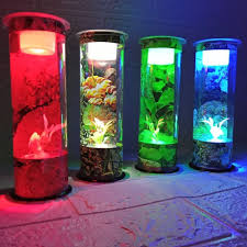 See more of • jual mini aquarium • on facebook. Harga Aquarium Ikan Hias Bulat Terbaru Juli 2021 Biggo Indonesia