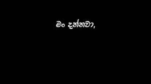 Pin On Quotes Cool status for whatsapp and facebook profile. pin on quotes