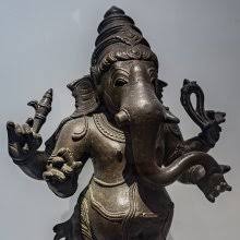 Image result for Hua gabonii