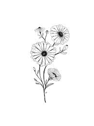 Aster Flower Aster Flower Flower Tattoo Lotus Flower Tattoo