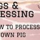 Pig Processing Class