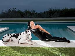 By boomnude · march 2, 2020. Foto Lady Gaga Deutsche Dogge Hunde Schwimmbecken Musik 1600x1200