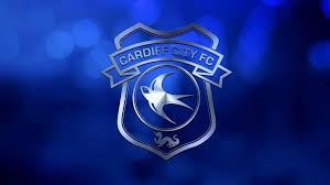This is why they have a slightly higher price then your average badge. 12 Cardiff City F C Wallpapers On Wallpapersafari