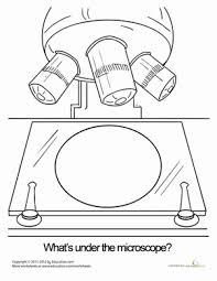 Microscope Worksheet Education Com Microscopic Earth Science Earth And Space Science