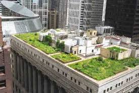 Green roofs were first used in scandinavia, with the modern design taking hold in germany in the copenhagen, denmark passed a similar ordinance in 2010, seeking to add some 53,000 square feet. Green Roofs Or How To Save With Rooftop Gardens
