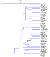 Image result for Indigofera monantha