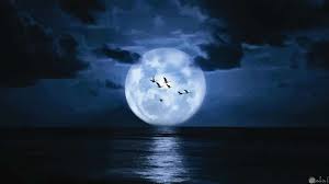 Moonset over ely this morning. ØµÙˆØ± Ù‚Ù…Ø± Ù…Ø°Ù‡Ù„Ø© Ø±Ø§Ø¦Ø¹Ø©