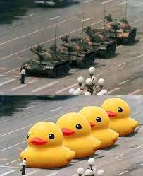 Hippity hoppity your location is my property. Mashable On Twitter Tiananmen Square Protesters Slip Memes Through China S Web Censors Http T Co Qliz39gi88 May35 Http T Co M43thnxuyo