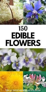 Maybe you would like to learn more about one of these? Flowers You Can Eat 150 Edible Flowers To Try This Season Common Garden Plants Edible Flowers Edible Flower Garden