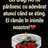 Toate grijile sa ti se risipeasca in lumina soarelui de astazi. Https Encrypted Tbn0 Gstatic Com Images Q Tbn And9gcrrhgpvz Jjojdmjhy3wfrrxdddjrfumucneldthzhxeenhpxpl Usqp Cau