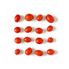 Image result for tomato Piccadilly