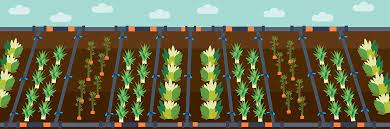 Drip Irrigation Fix Com