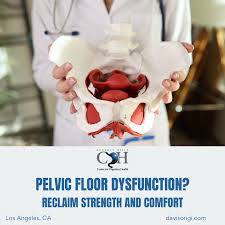 Image result for Pelvic Floor Dysfunction