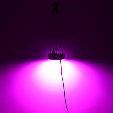 Maybe you would like to learn more about one of these? 50w Led Plant Grow Lights Shengsite Ufo 250 Leds Indoor Plants Optic Fiber Lights Aliexpress